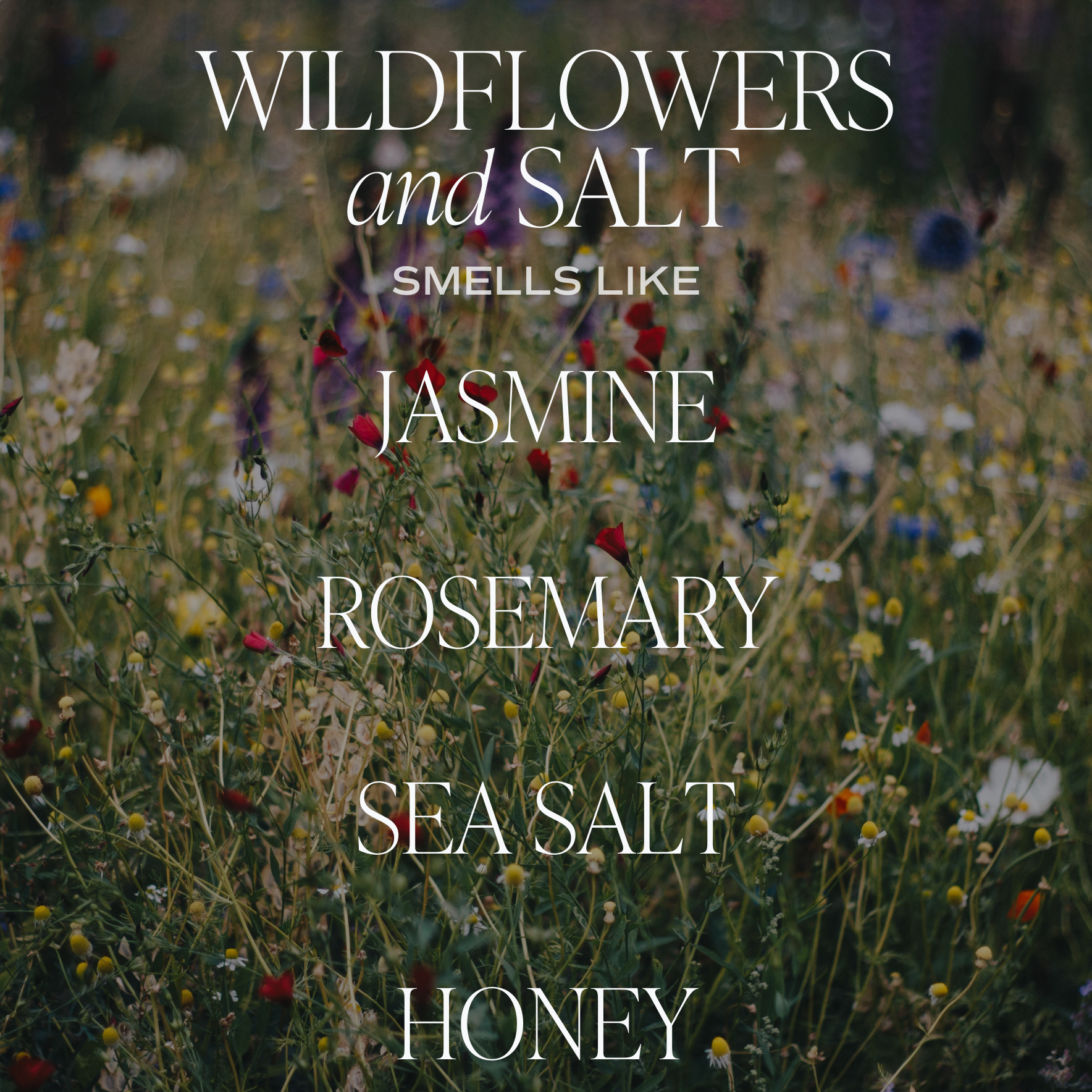 Wild Flowers and Salt 9 Oz