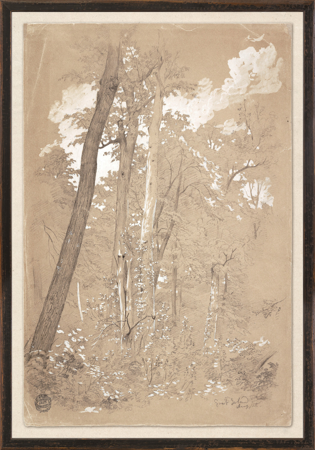 Chestnut Trees Niagara River, C 1858
