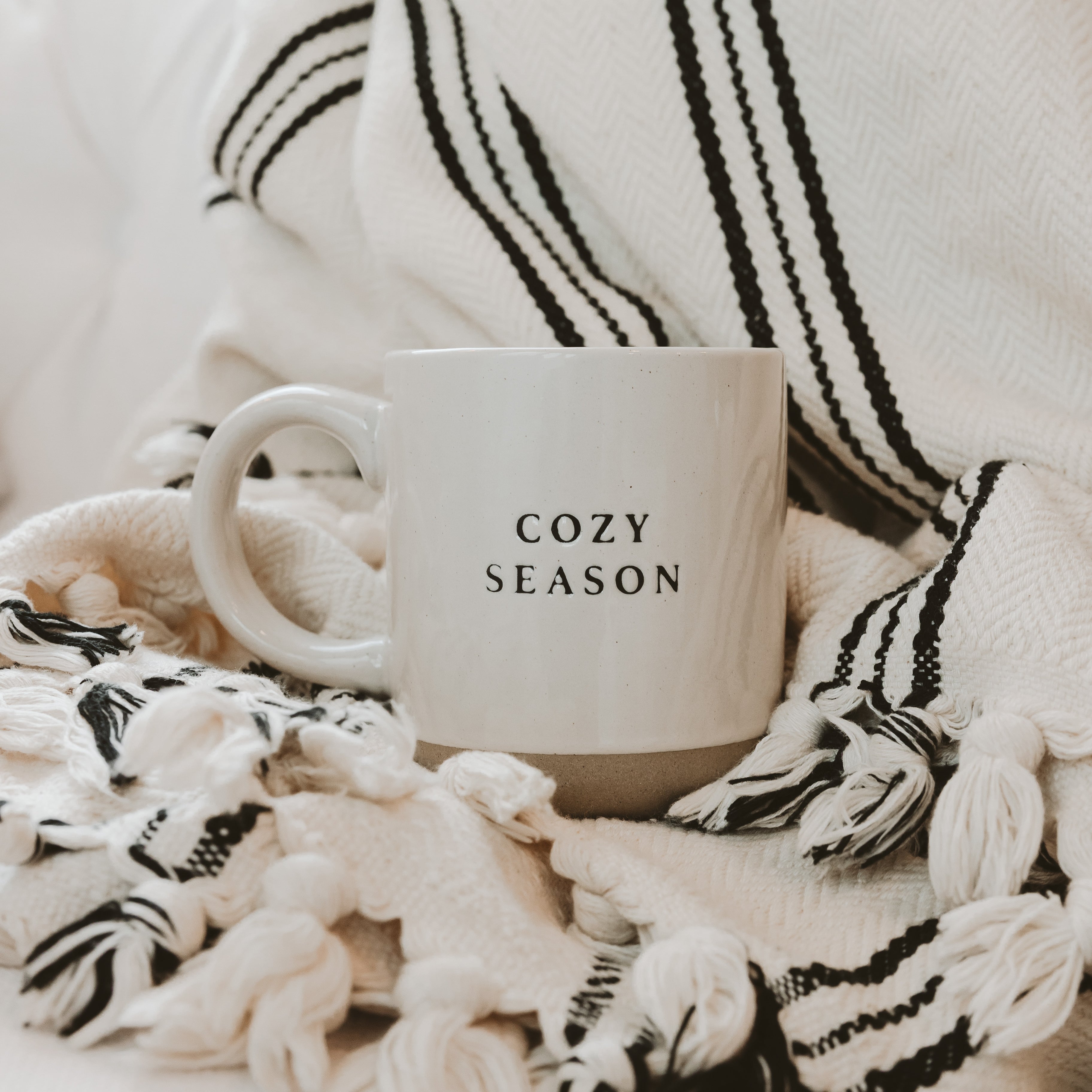 Cozy Season 14OZ. Mug