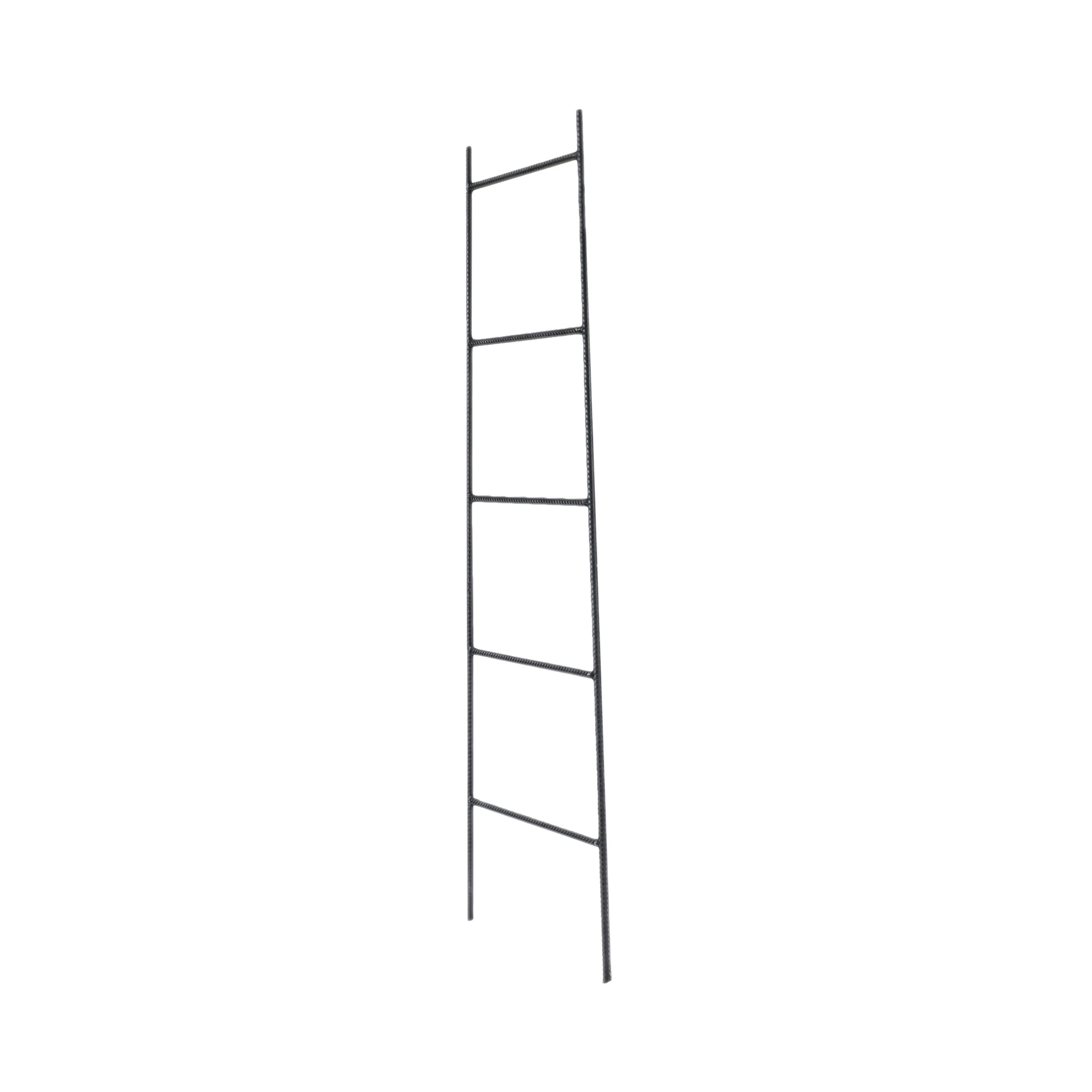 Iron Ladder