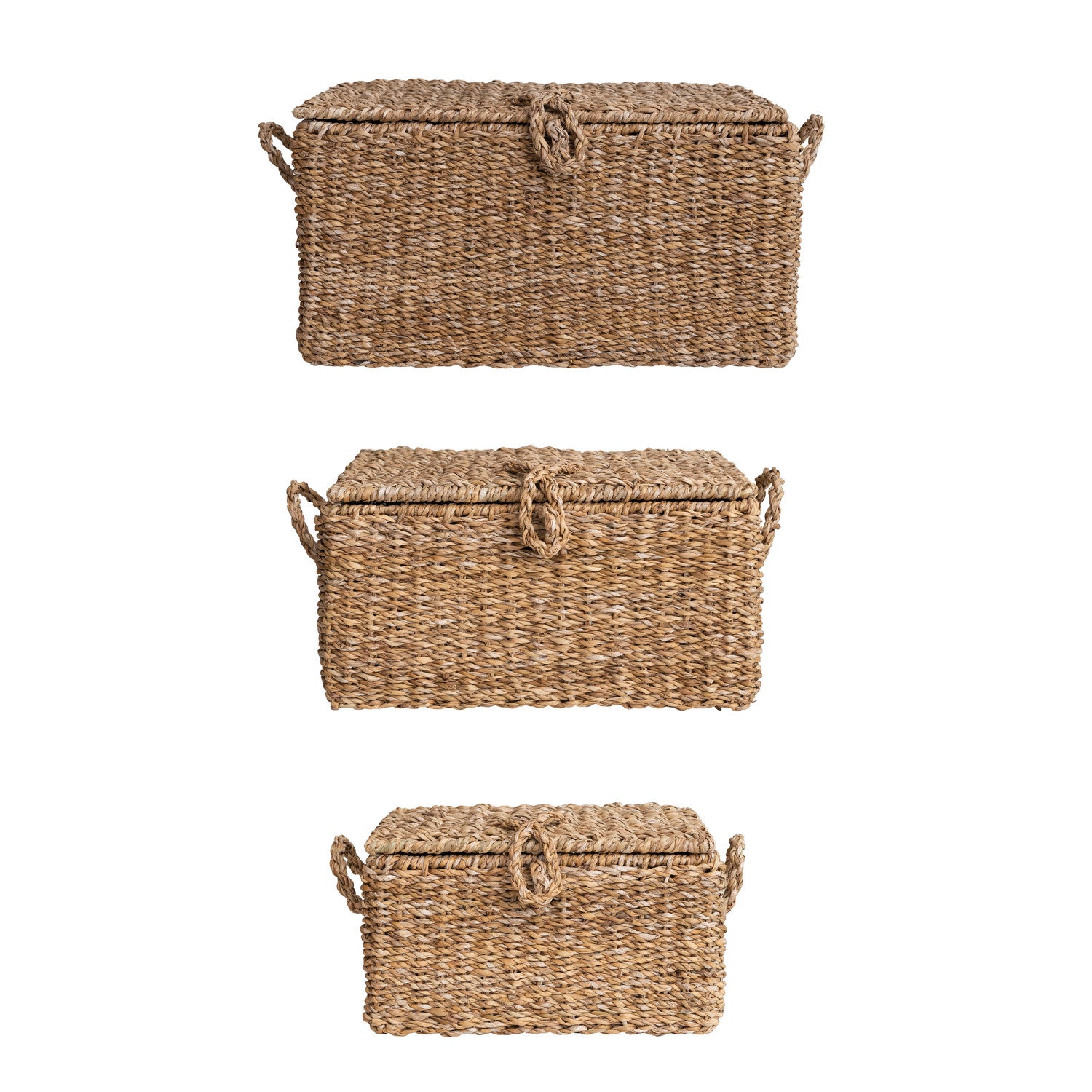 Hand-Woven Seagrass & Wire Framed Trunks, Natural, Set of 3
